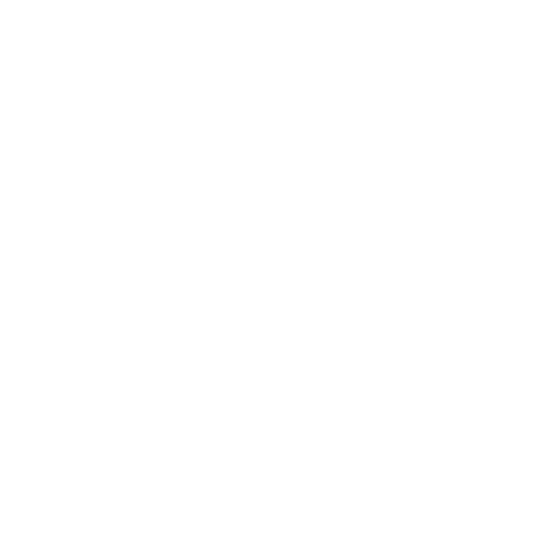 Web y Presentaciones